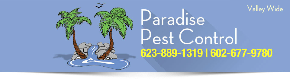 Paradise Pest Control | 623-889-1319 | 602-677-9780